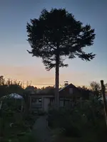 20211009_190436.webp