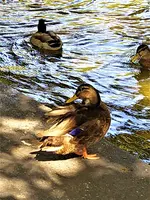 IMG_20200823_150836_3.webp