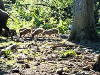 DSCF5095 (2).webp