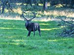DSCF5104 (2).JPG