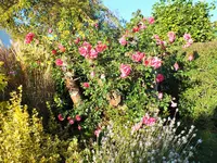 DSCF5111 (2).webp