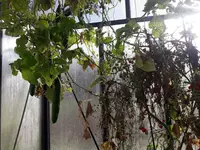 20211010_094100.webp