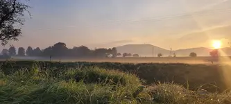 20211011_081217.webp 20211011_081217.webp