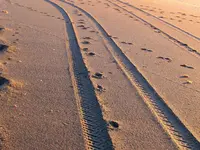 Lines (3) v.webp