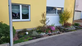20211008_080823.webp