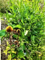 IMG_20210910_152102.webp