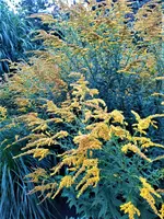 IMG_20210917_132954_1.webp