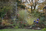 Nov.0416.JPG
