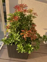 Image_20211011233353.webp
