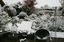 Winter0215.webp