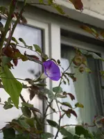 P1050264.webp