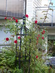 P1050209.JPG