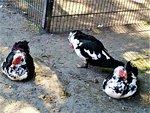 IMG_20200918_140958_1.jpg
