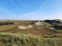 20211009_111252.webp