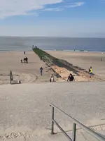 20211010_103742.webp