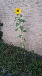 20211012_171808.webp