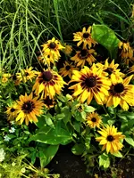 IMG_20210907_154356_1.webp