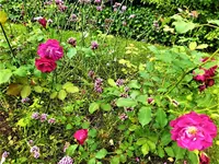 IMG_20210916_144420.webp