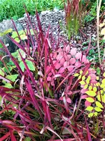 IMG_20210910_152626_1.webp