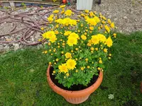 20211012_173609.webp