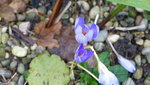 P1200424.JPG