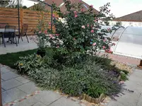 IMG_20210930_151209.webp