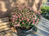 IMG_20211014_085015.webp