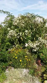 20190916_111525 (2).webp
