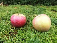 DSCI0898.webp DSCI0898.webp