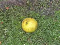 DSCI0955.webp DSCI0955.webp