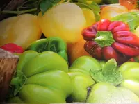 DSCI0471 (2).webp