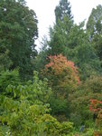 P1050410.JPG