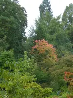 P1050410.webp