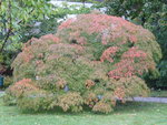 P1050370 - Kopie.JPG