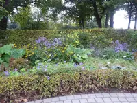 P1050371 - Kopie.webp