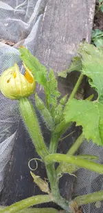 20211014_174003.webp