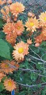 20211014_174054.webp