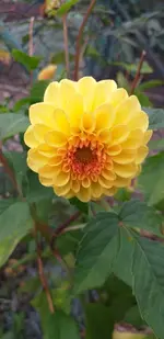 20211014_174102.webp