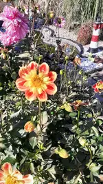 Bild 1.webp