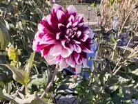 Bild 2.webp