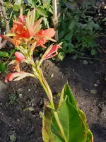 Bild 5.webp