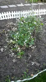 20211010_181647.webp 20211010_181647.webp