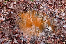 Wasserpfütze.webp