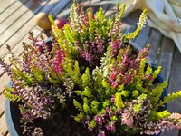 20211015_162828.webp