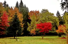 Malermeister Herbst_0001.webp Malermeister Herbst_0001.webp