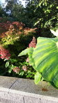 20211016_091339.jpg