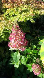 20211016_091130.webp