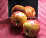 IMG_4201 - Copy.JPG
