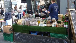 DSC02849.webp DSC02849.webp