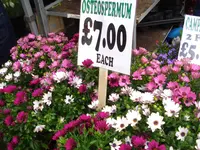 columbia road flower market (12).webp columbia road flower market (12).webp